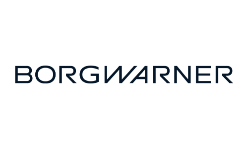 BorgWarner Turbo System